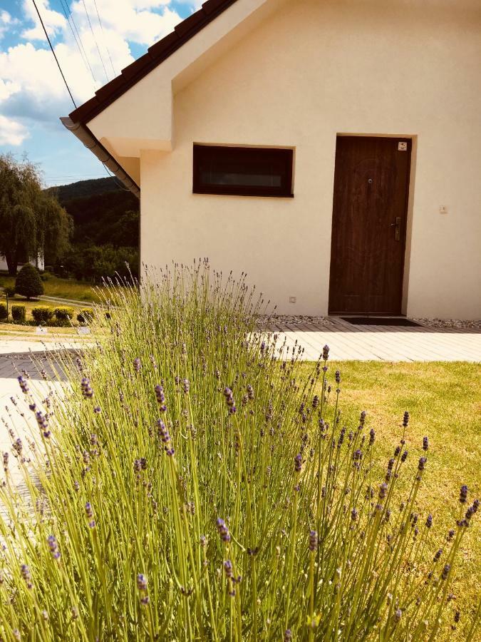 Grand Spa Holiday Home Склене-Теплице Экстерьер фото