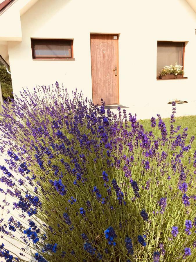 Grand Spa Holiday Home Склене-Теплице Экстерьер фото